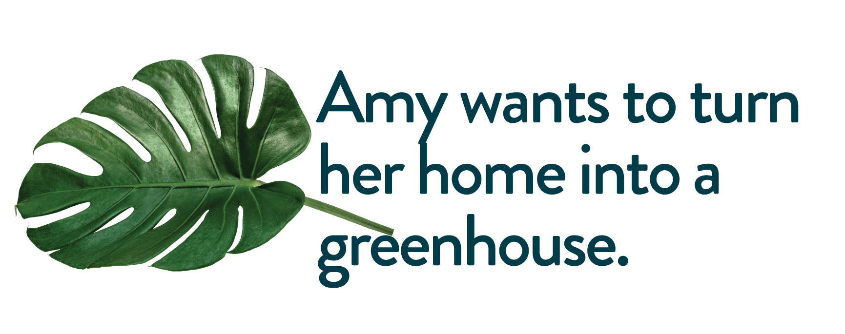 Amy wants to turn her home into a greenhouse